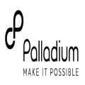 Palladium MS4G
